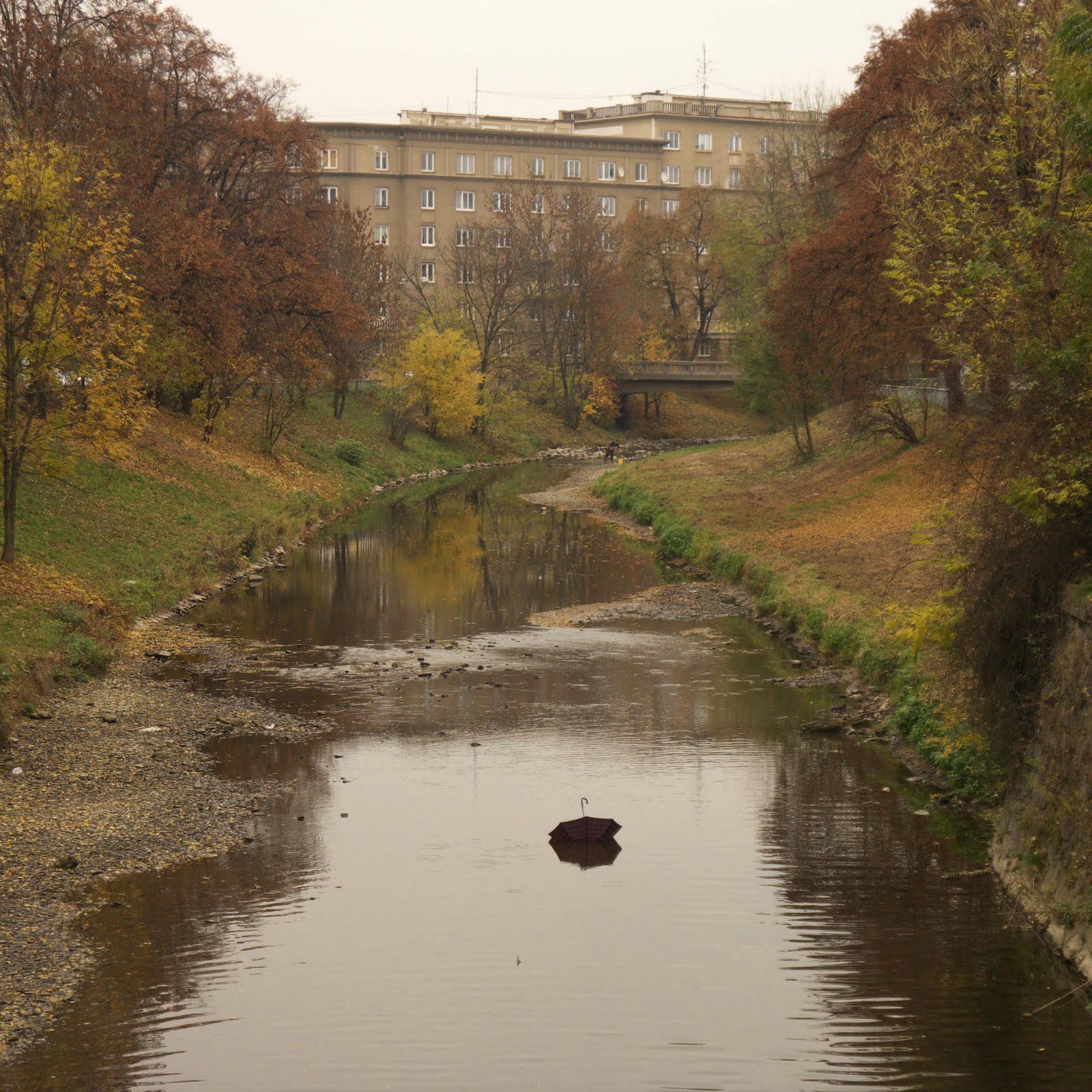 destnik.jpg