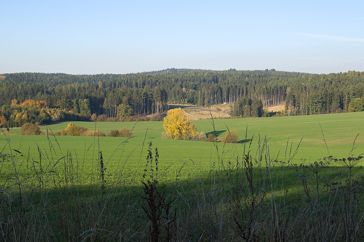 PA207586.jpg