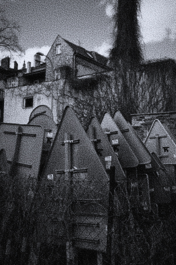 DSCF4064.JPG