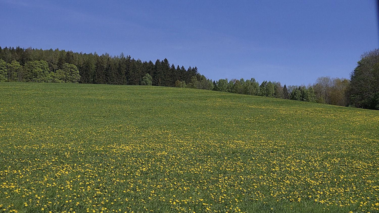 Šumava5.jpg