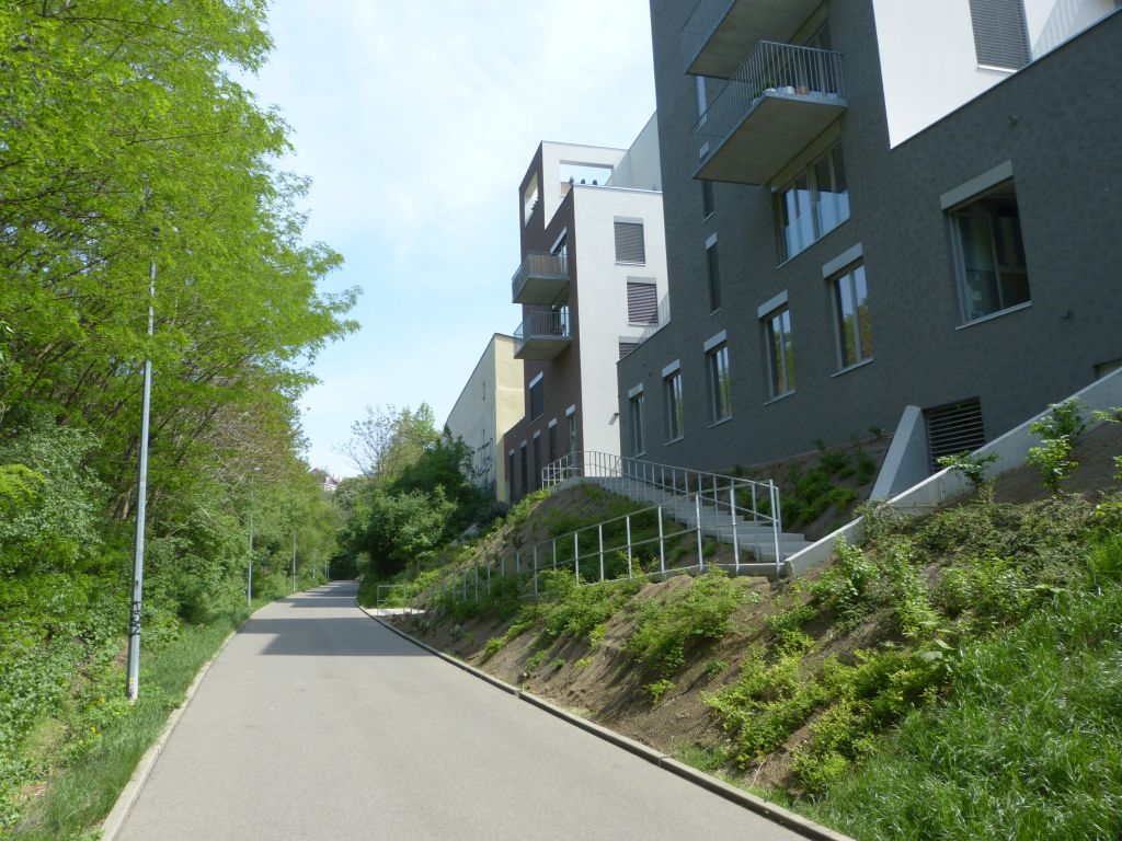 P3340027.jpg