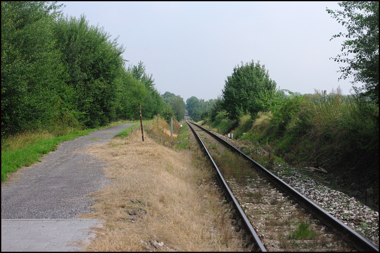 FT1497.jpg