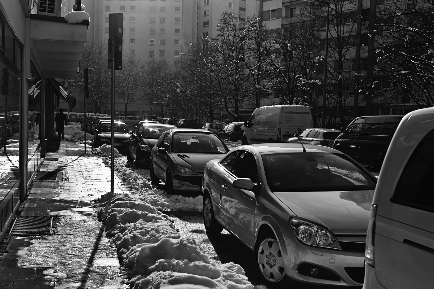 SDQ_2716_t.jpg
