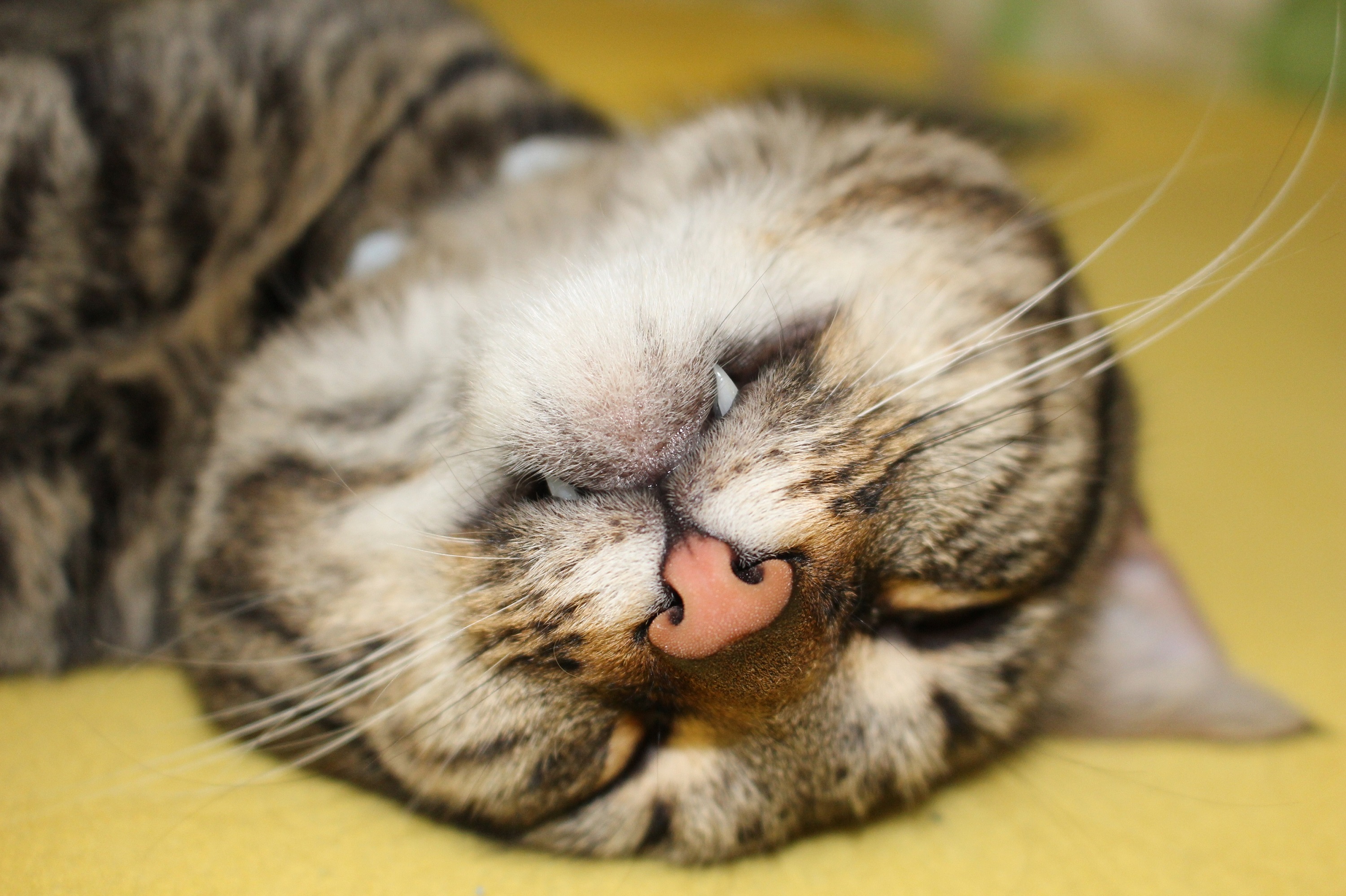 IMG_2172 zmenšený.jpg