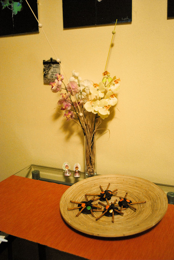 zátiší s pavouky.jpg