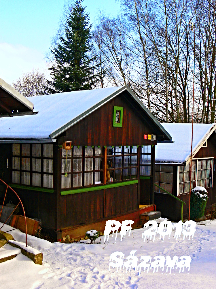 2011-01-30 001 (2).JPG