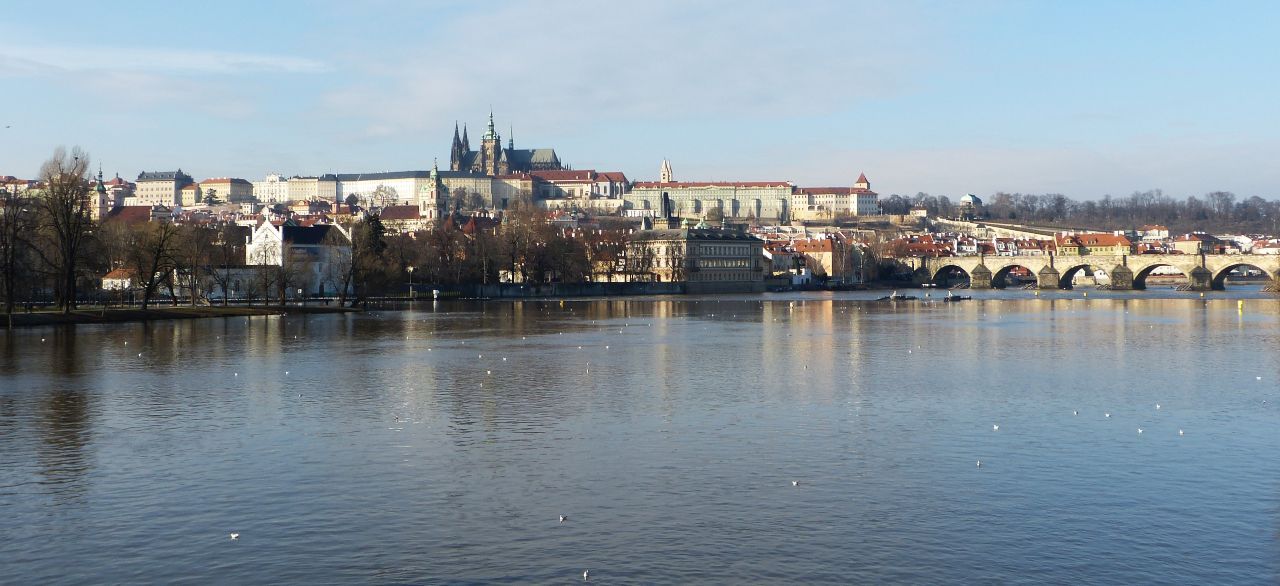 P4020785.jpg
