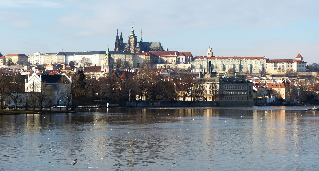 P4020792.jpg