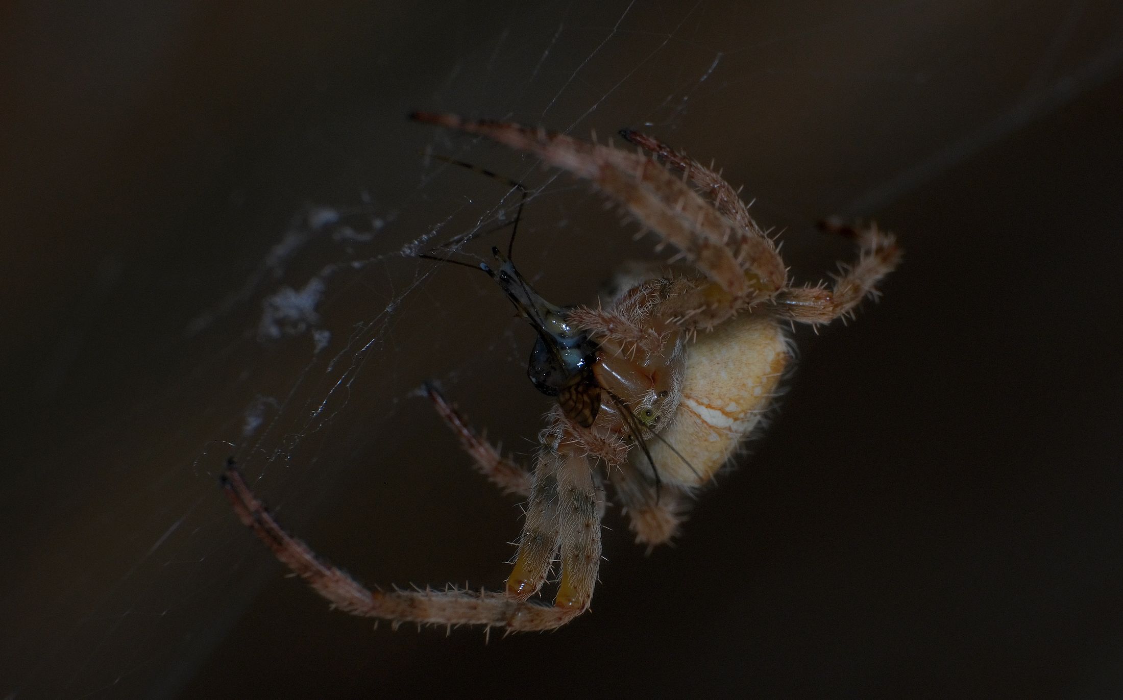 100821pracovnipostup  (3).JPG