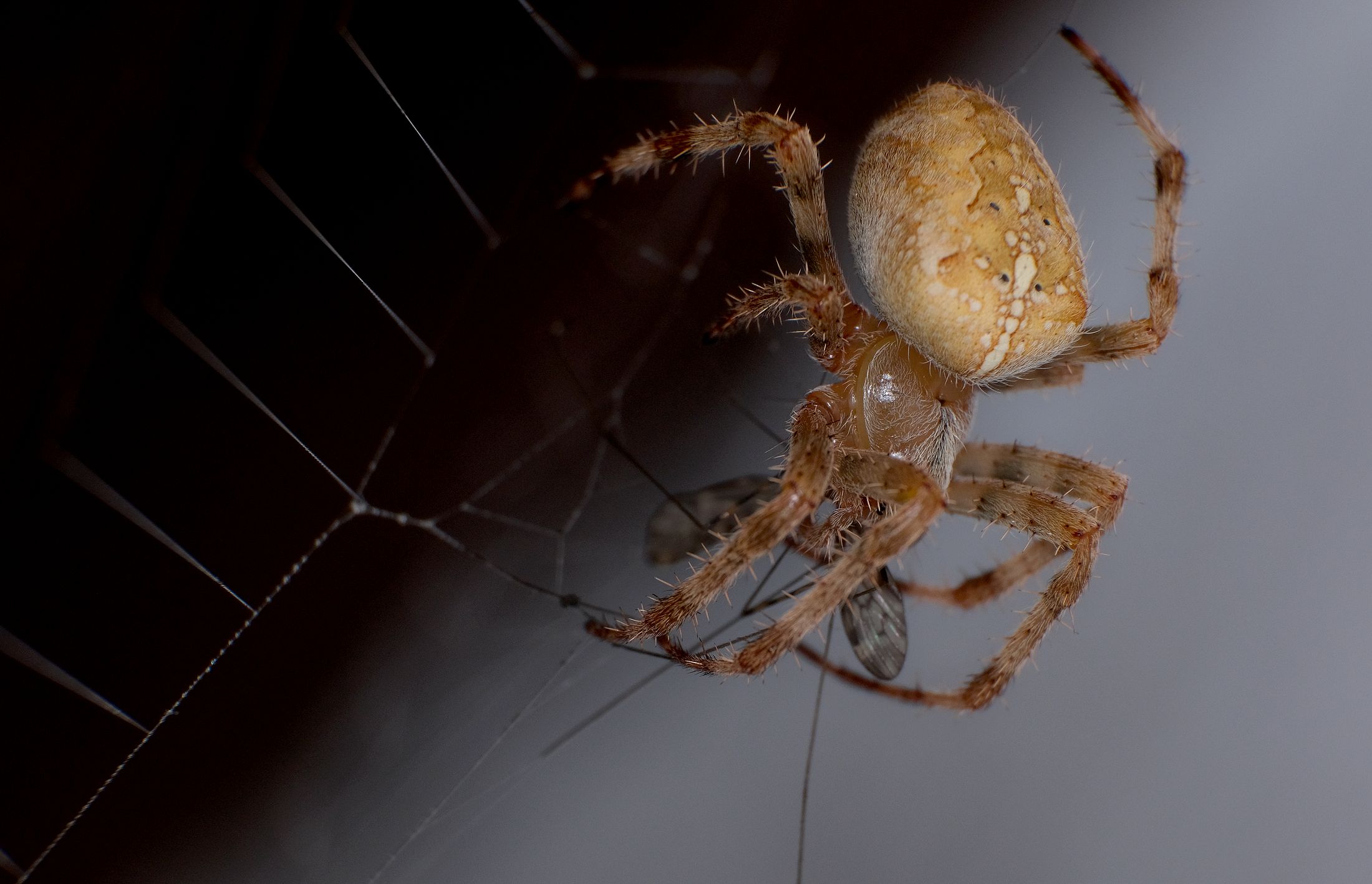 100821pracovnipostup  (2).JPG