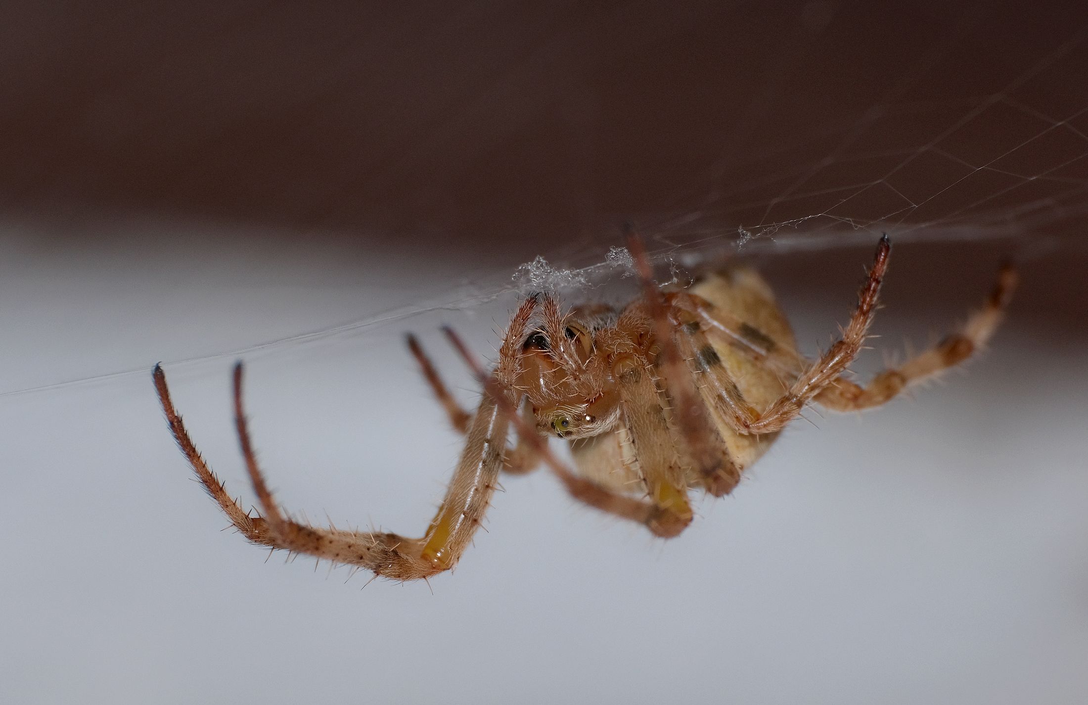 100821pracovnipostup  (1).JPG