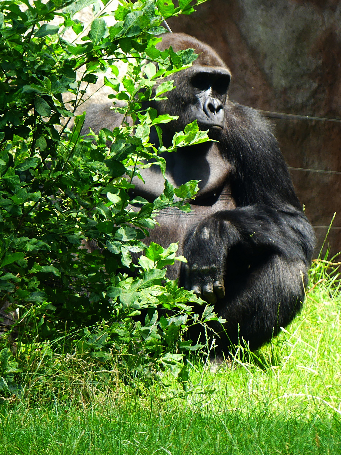 Richard 1125_1500.JPG