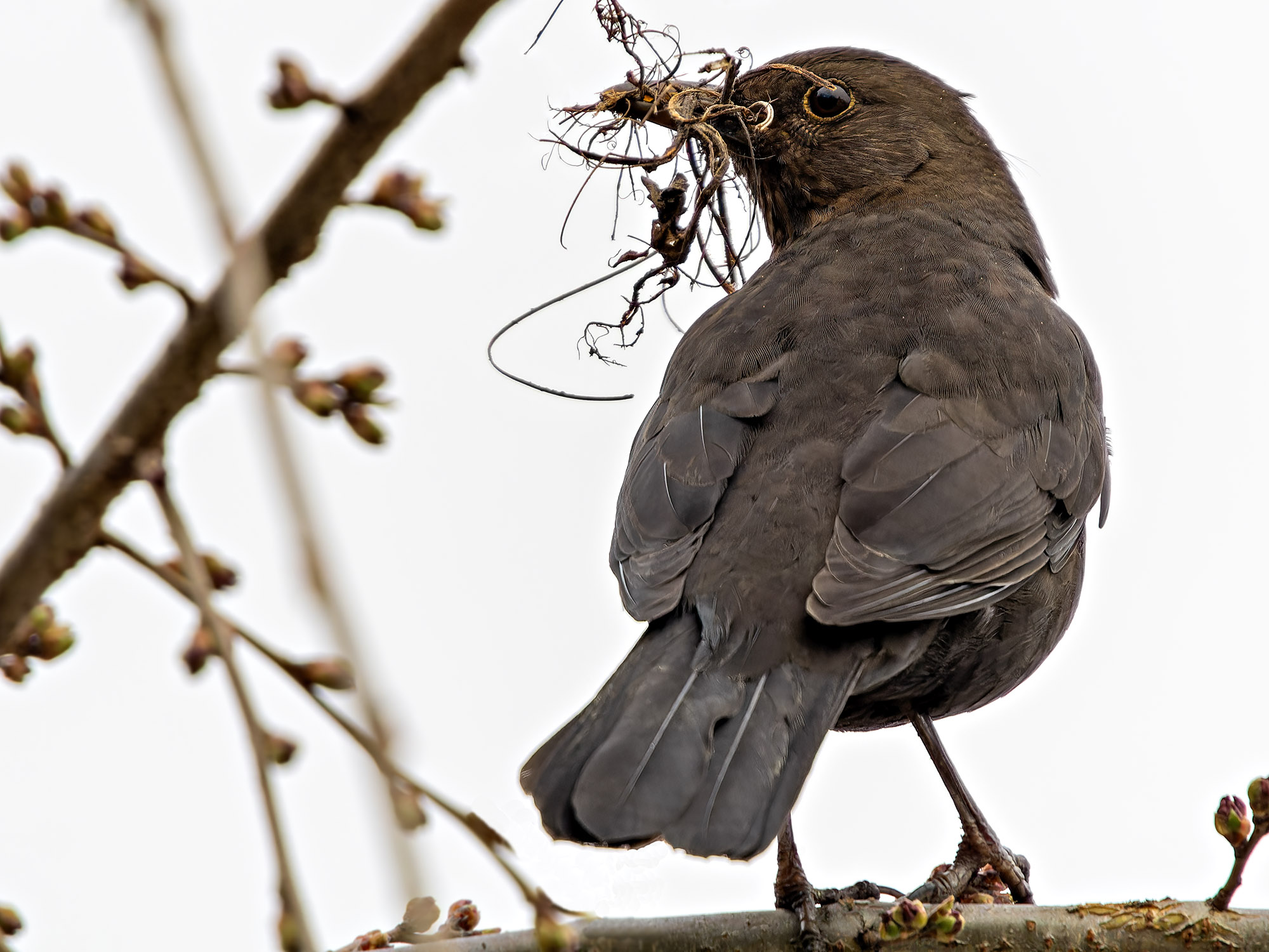 P3130242_DxO kopie w.jpg