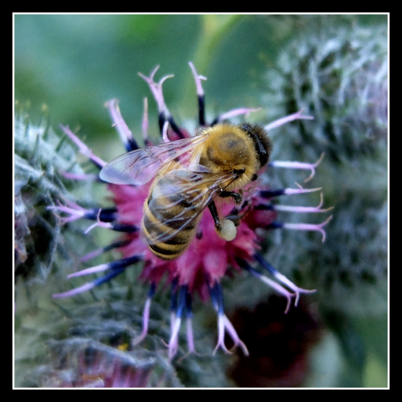 DSCF3255-small.jpg