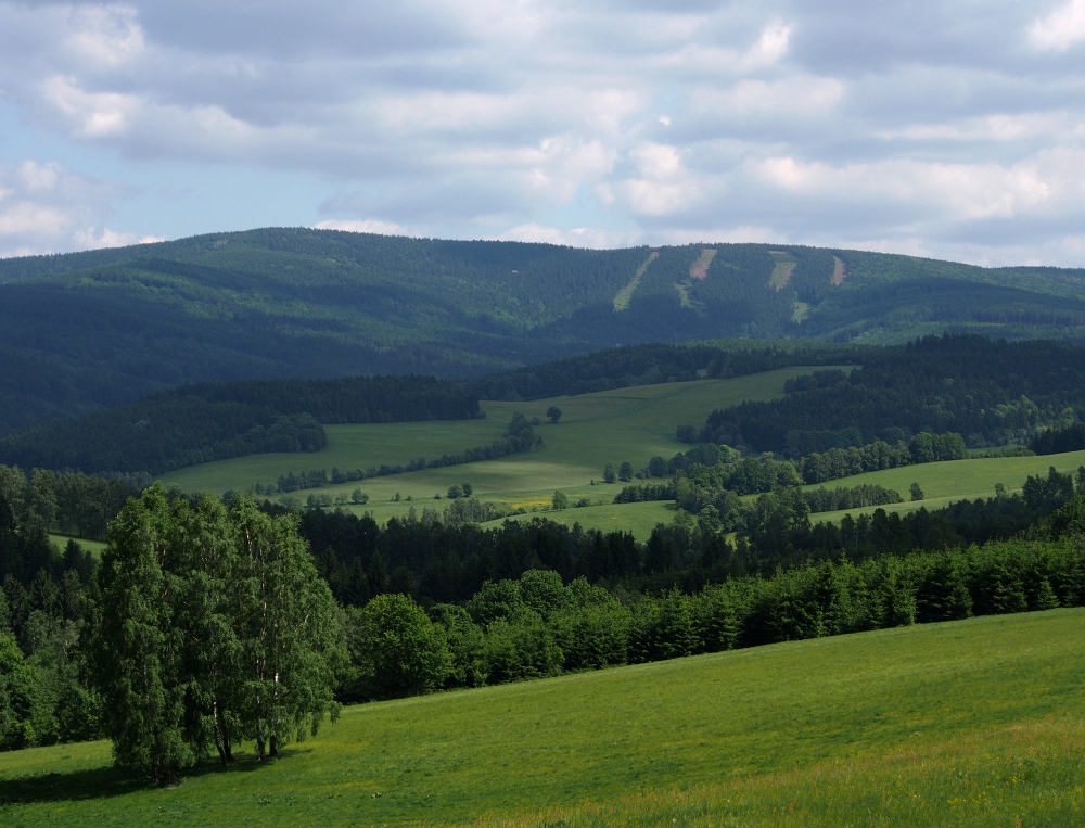 LN121151.jpg