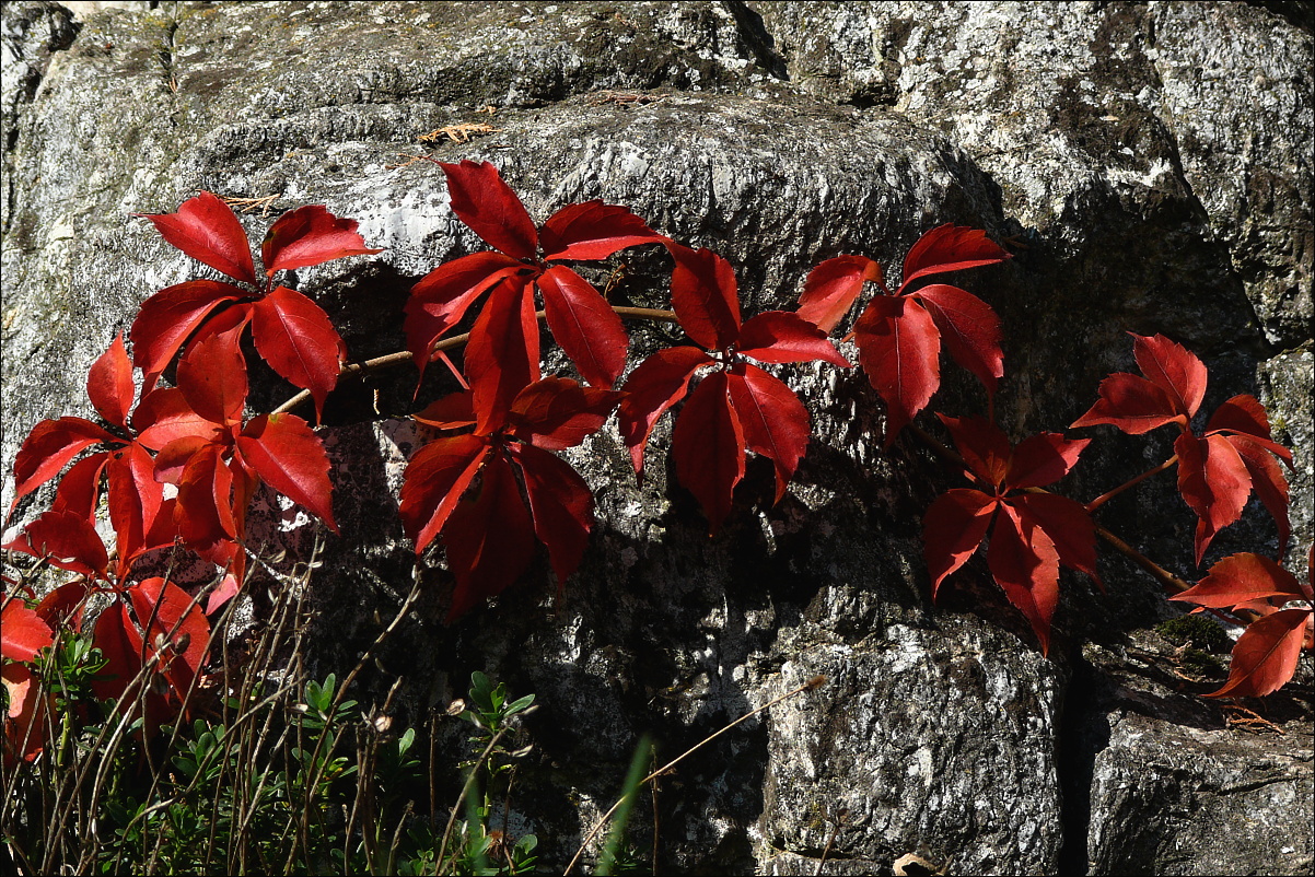 P1250401.JPG