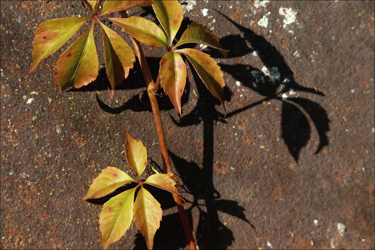 P1250403.JPG