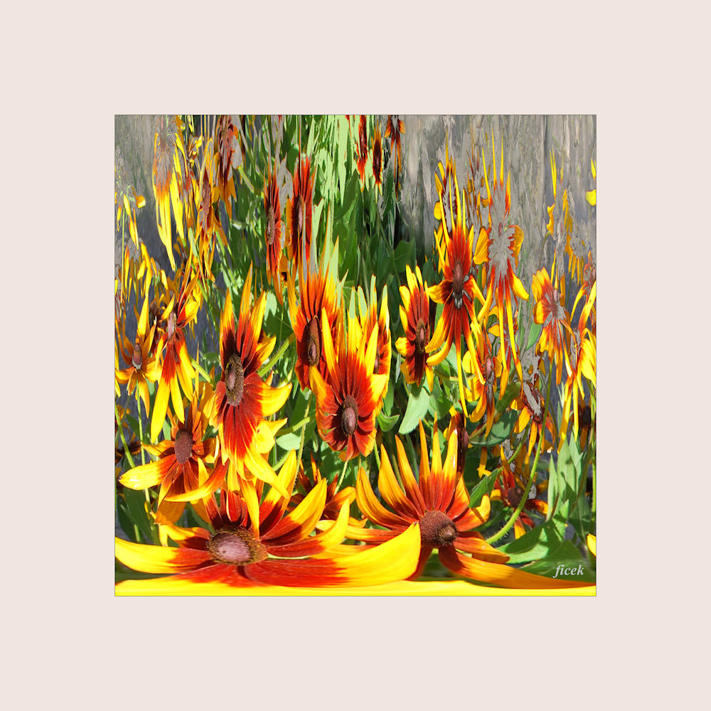 rajská zahrada 1.jpg