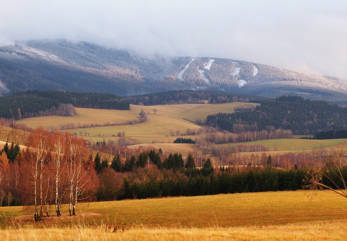 První skutečný sníh 2011.jpg