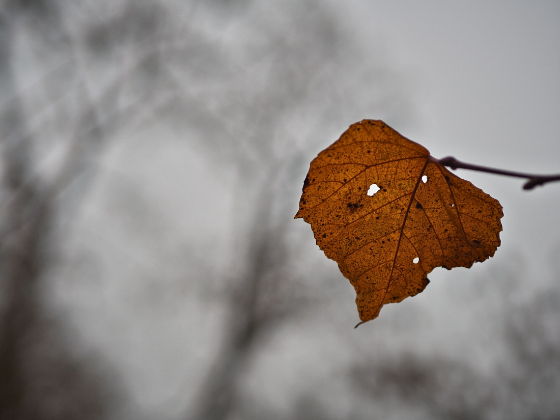Zvířetice a Bakov000.jpg