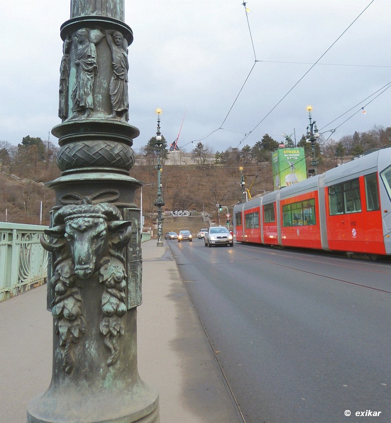 P1010486w-tvrdá hlava beraní...jpg