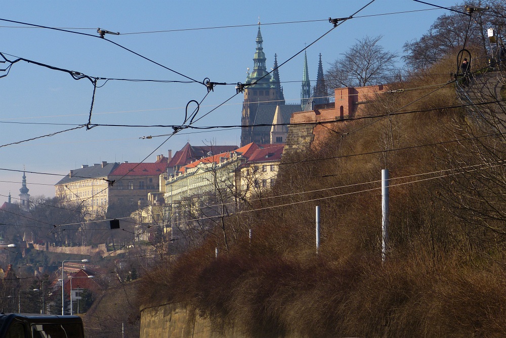 P1010513 v pavučině.jpg