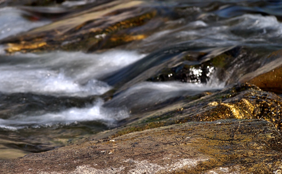 2014_(40-150mm)_0441.jpg