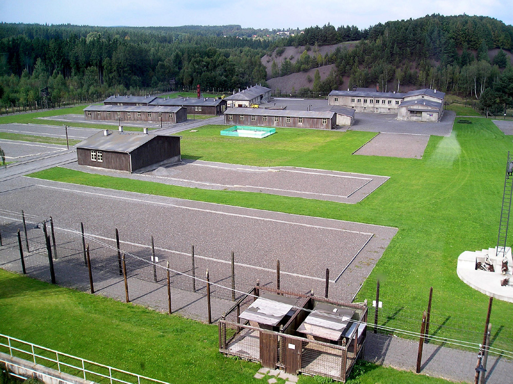 P9160021.JPG