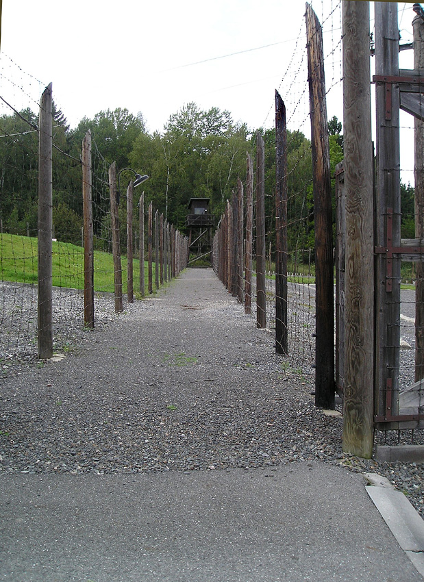 P9160009.JPG