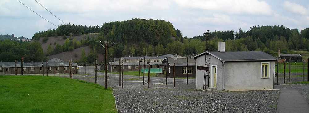 P9160008.JPG