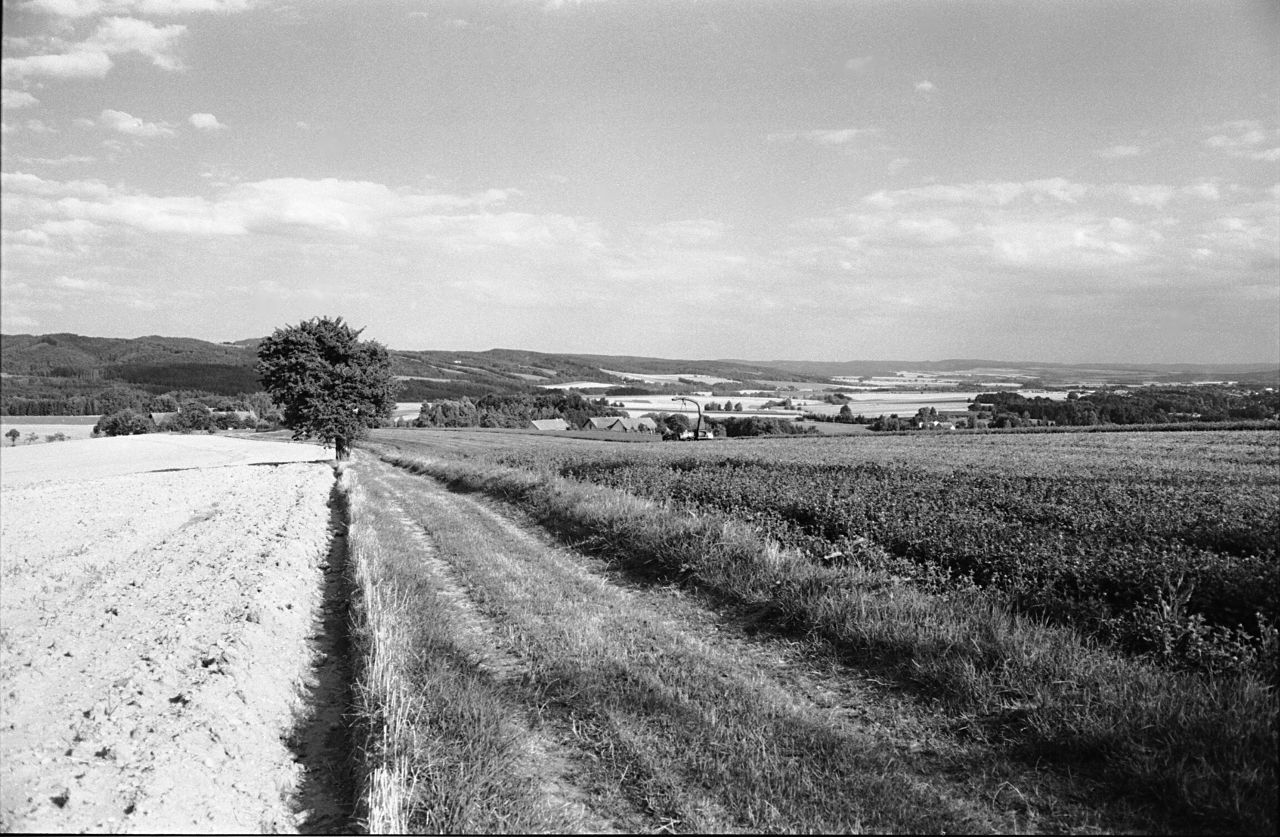 scan_00103.jpg