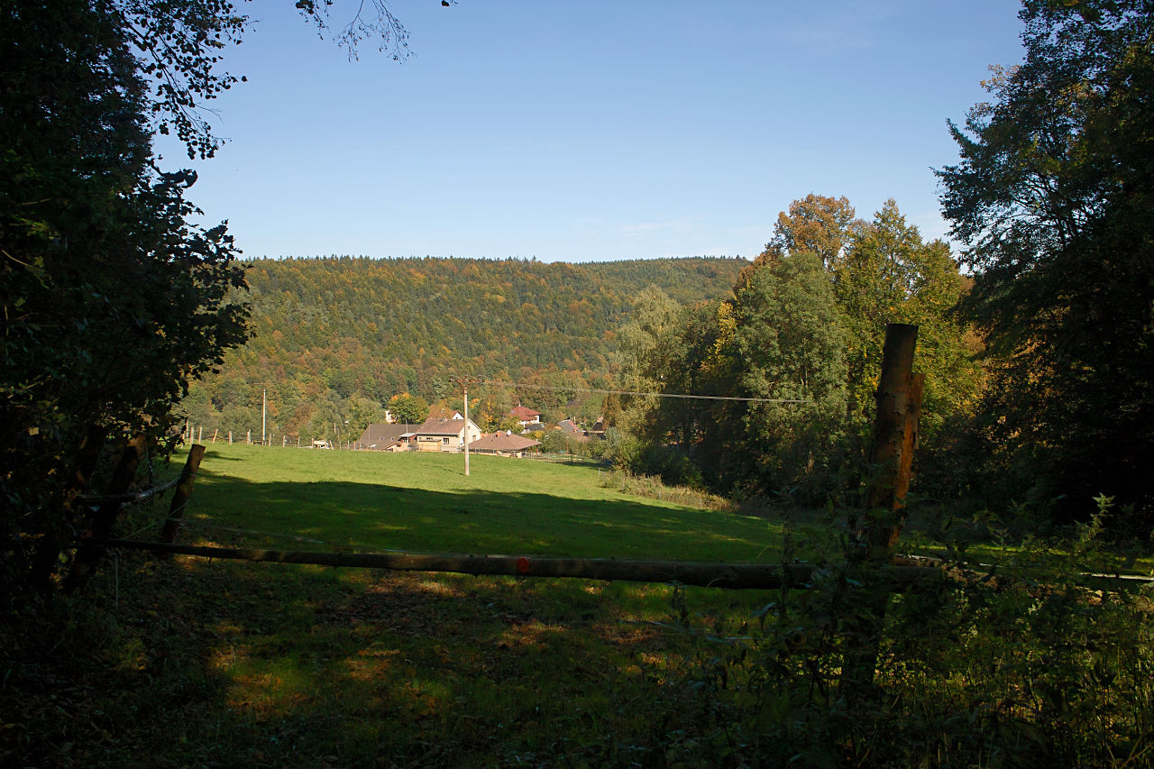 SDIM2397.jpg