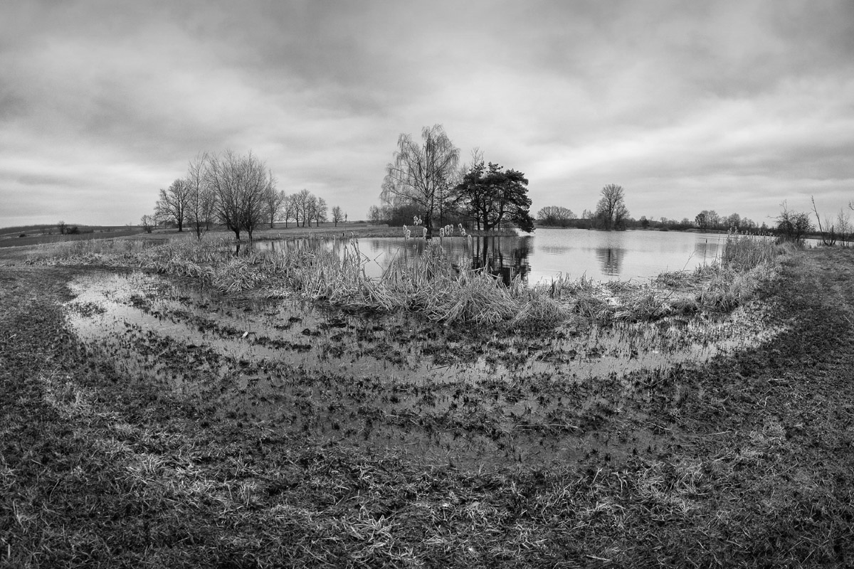20150312-DSCF6542-Edit.jpg
