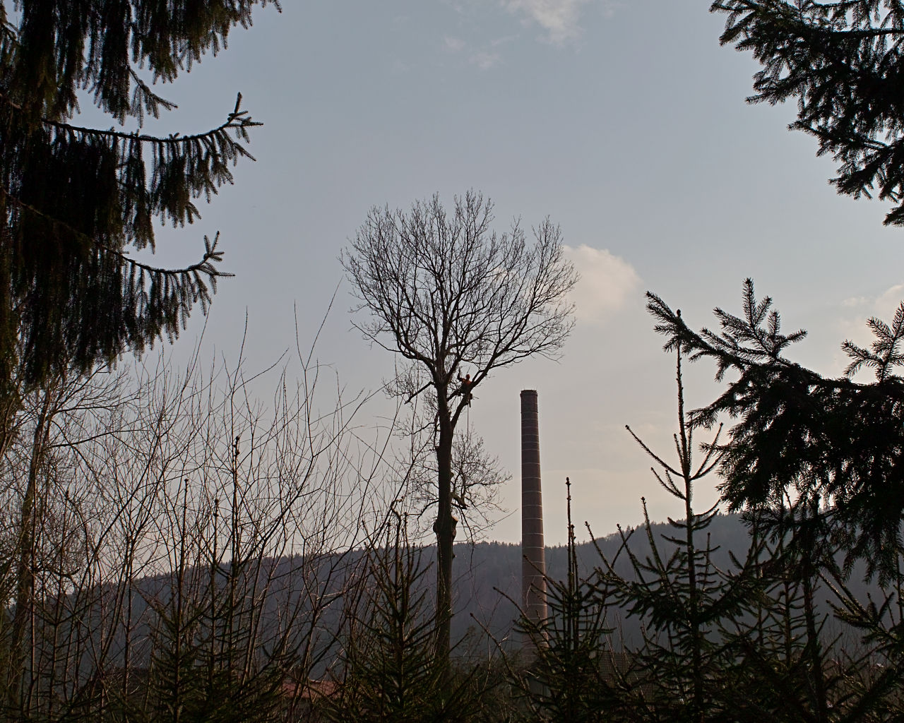 SDIM2945.jpg