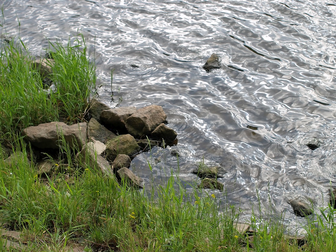 P6100177w-u Labe.jpg