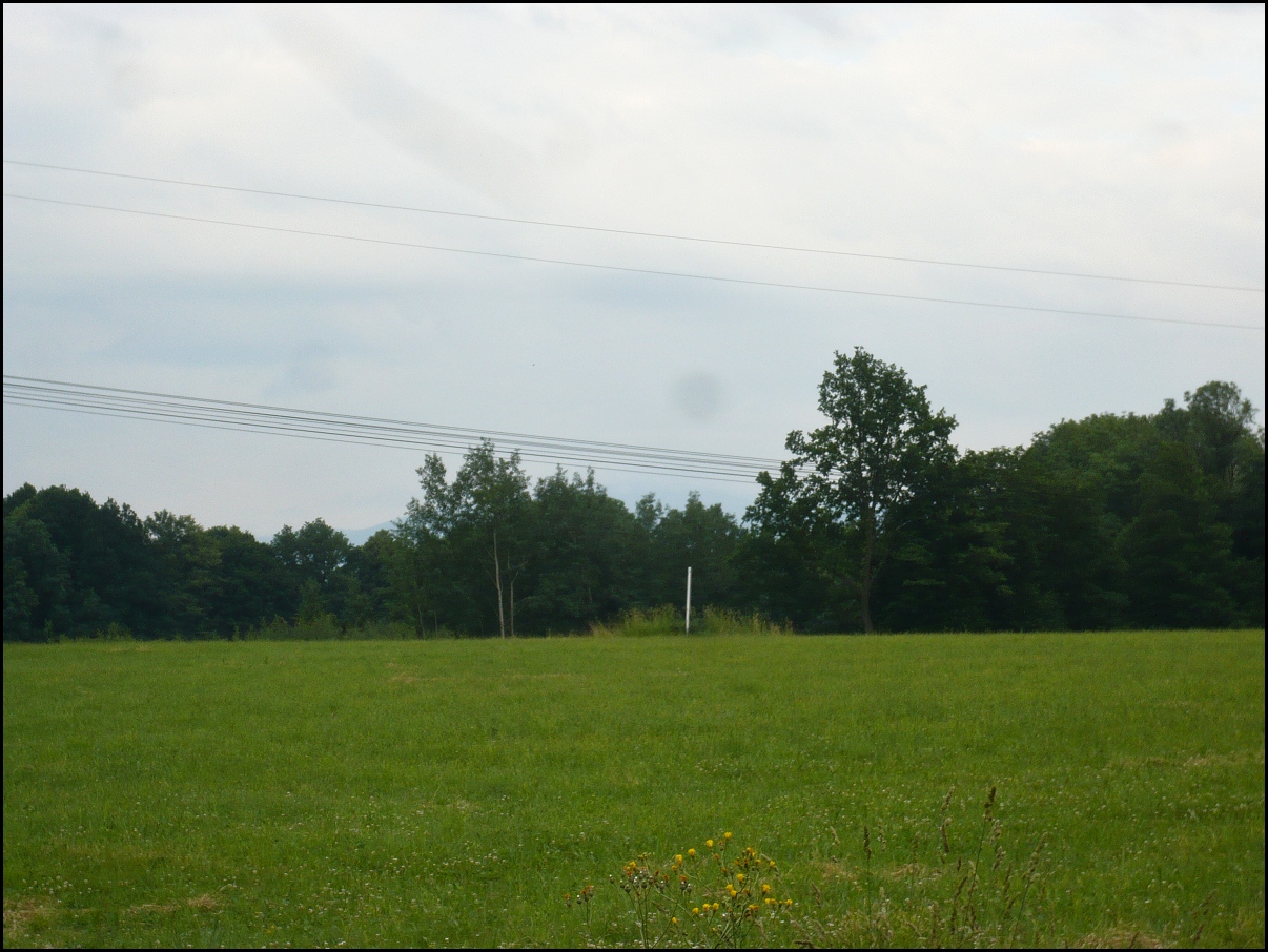 FT0327.jpg