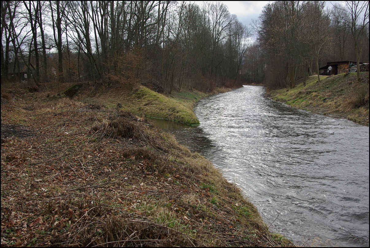 FT0695.jpg
