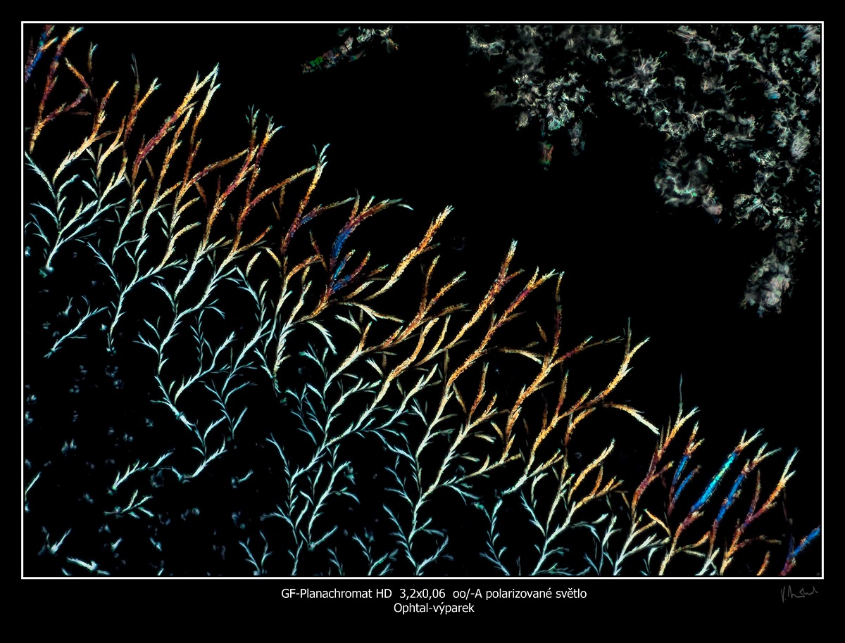 Ophtal 3,2x.jpg