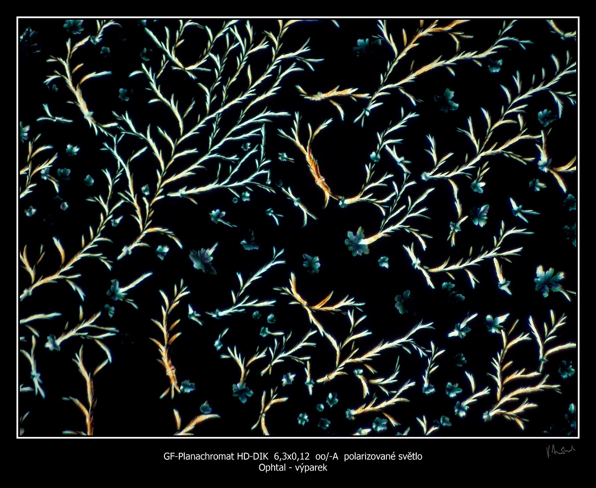 Ophtal 6,3x.jpg