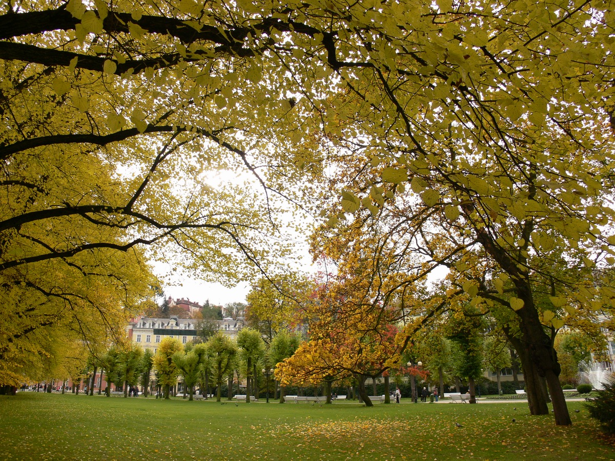 P1080092res.jpg