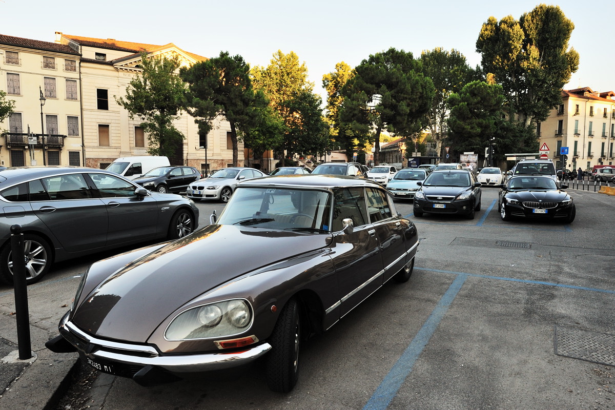 DSC_7151_1200.jpg