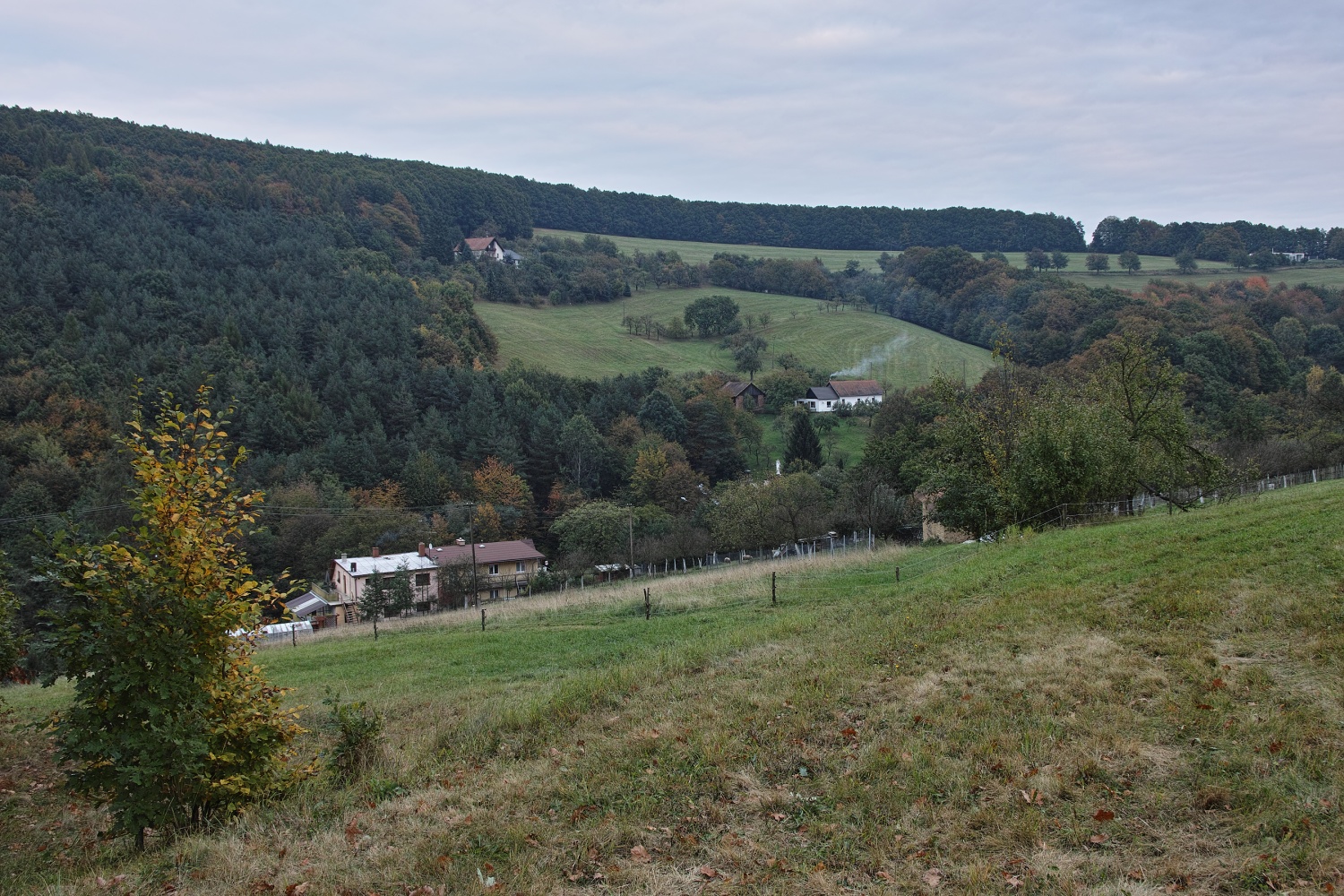 SDIM7638.jpg