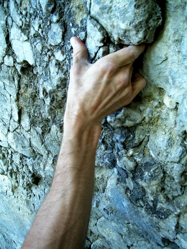 CIMG8785.JPG