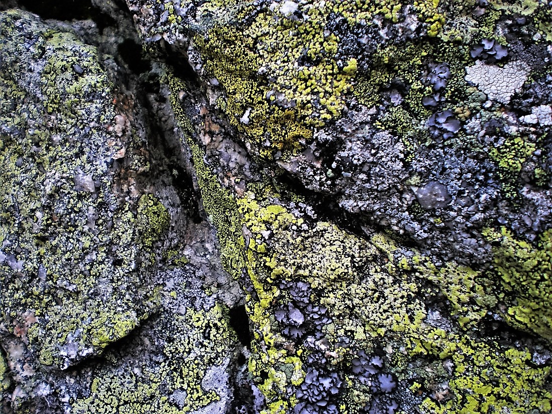 PA050150.JPG