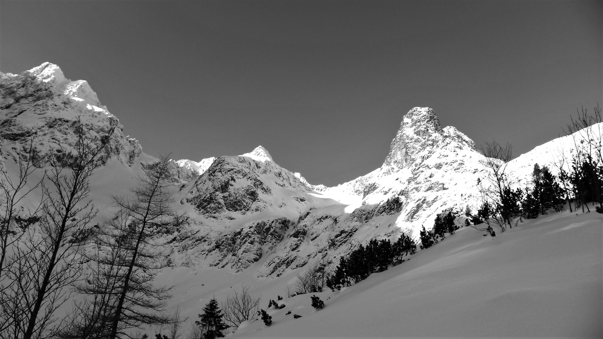 P1000959.JPG