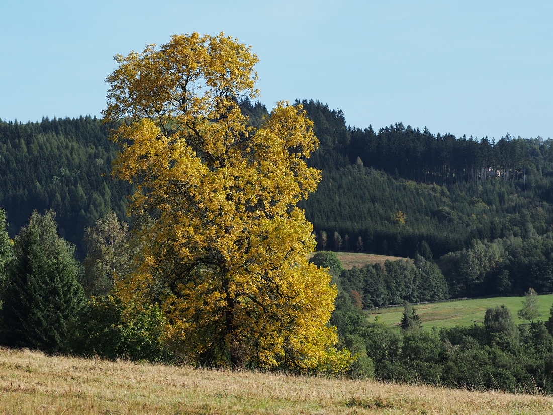 LN120781.jpg
