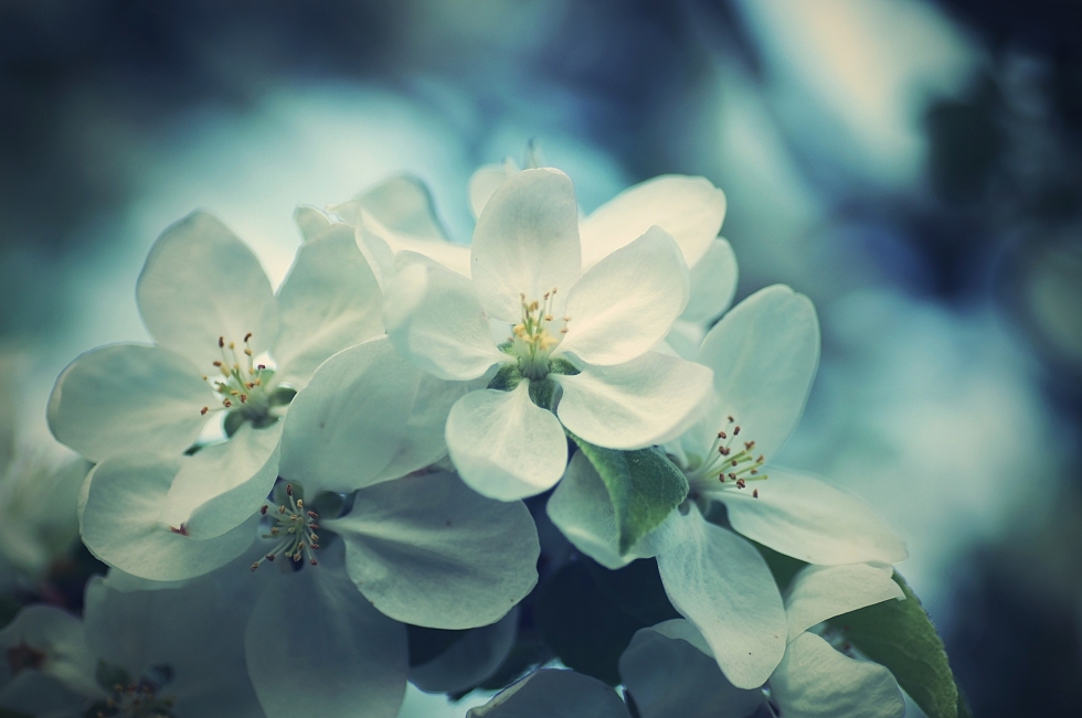 wwwsnění1 6587-1.jpg